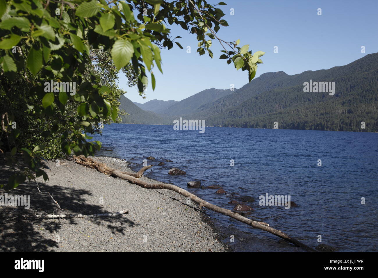Lake Crescent, Olympic National Park Banque D'Images