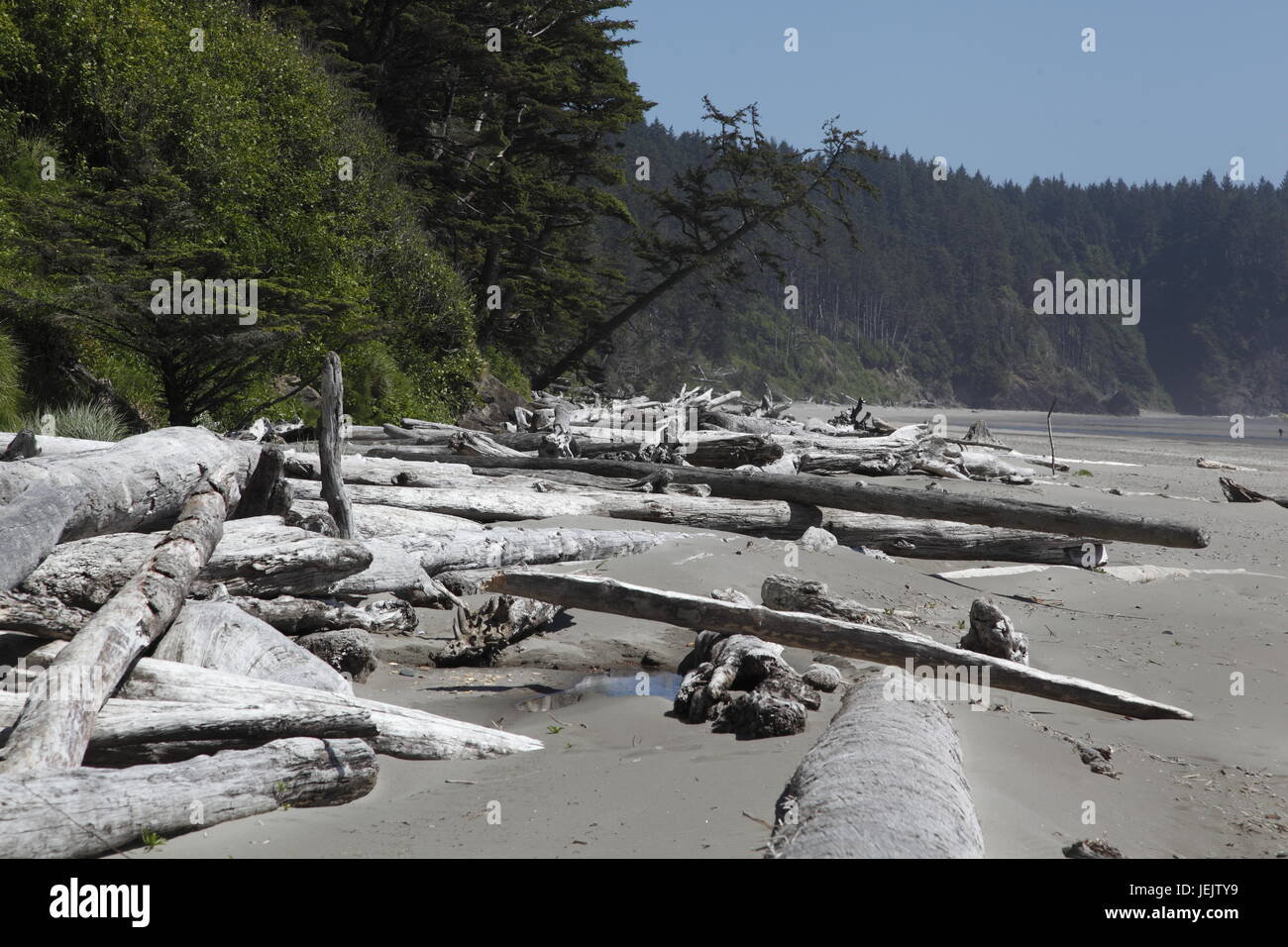 Deuxième plage, Olympic National Park Banque D'Images