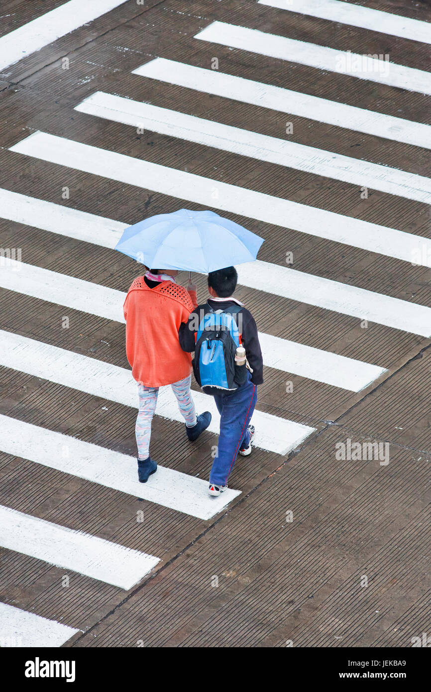 Pedestrains avec parapluie sur un chemin humide zebra. Shanghai a un climat  subtropical humide, avec parfois des Averses ou orages freak Photo Stock -  Alamy