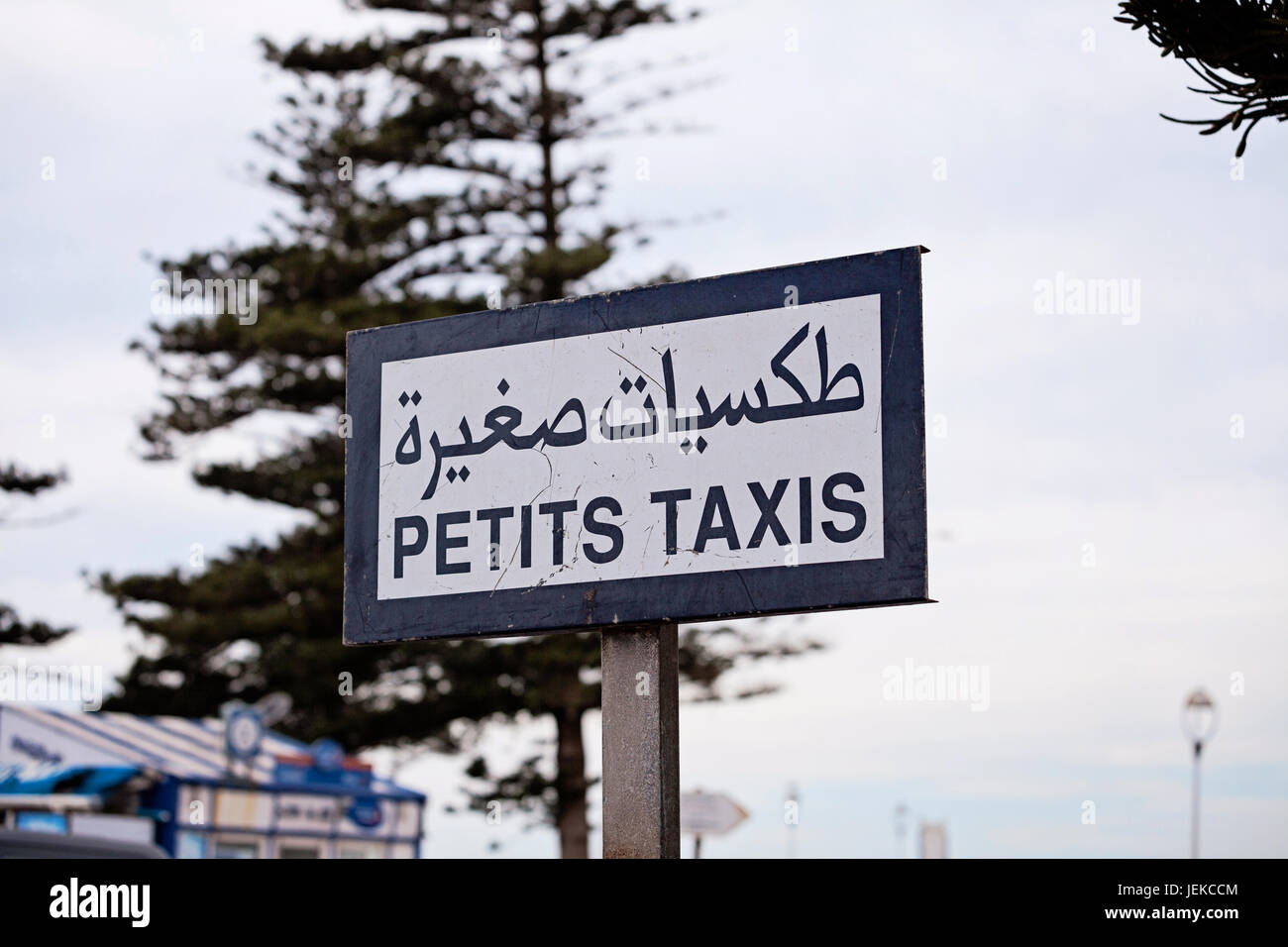 Petits Taxis sign in english / français et arabe, Essaoura, Maroc. Banque D'Images
