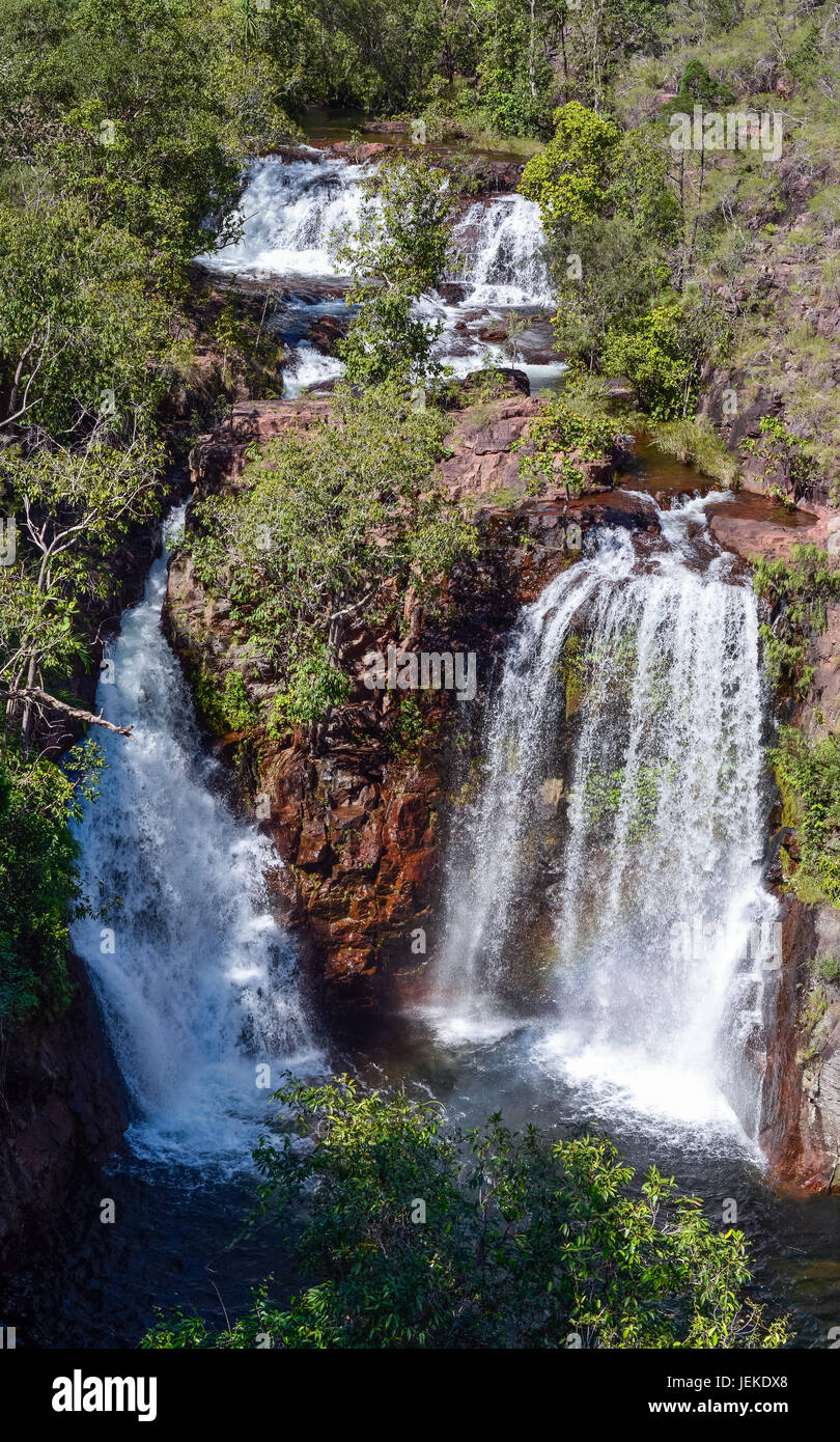 Florence Falls, Litchfield National Park, en Australie. Banque D'Images