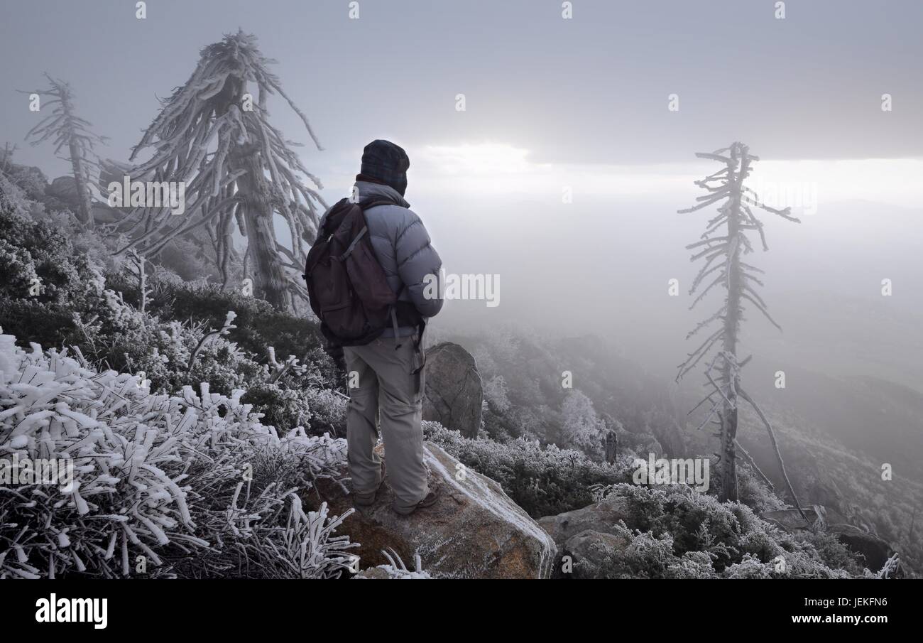 Homme regardant la vue, Cleveland National Forest, Californie, États-Unis Banque D'Images