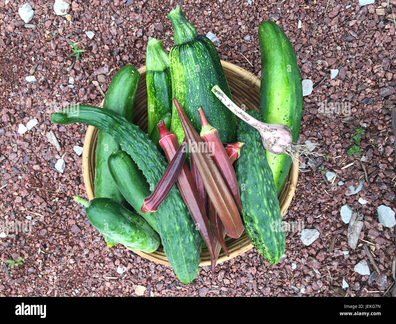 Bol avec courgettes fraîchement cueillies, les concombres, le gombo et l'ail Banque D'Images