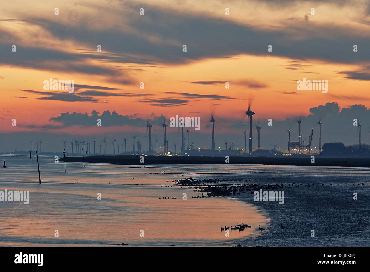 Les éoliennes le long de la rivière Ems, Basse-Saxe, Allemagne Banque D'Images