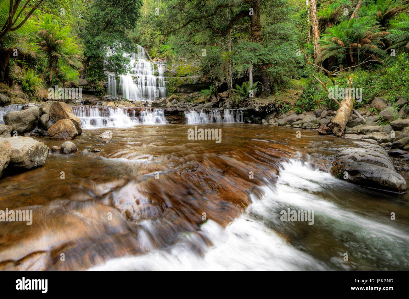 Liffey Falls, Great Western Tiers, Tasmanie, Australie Banque D'Images