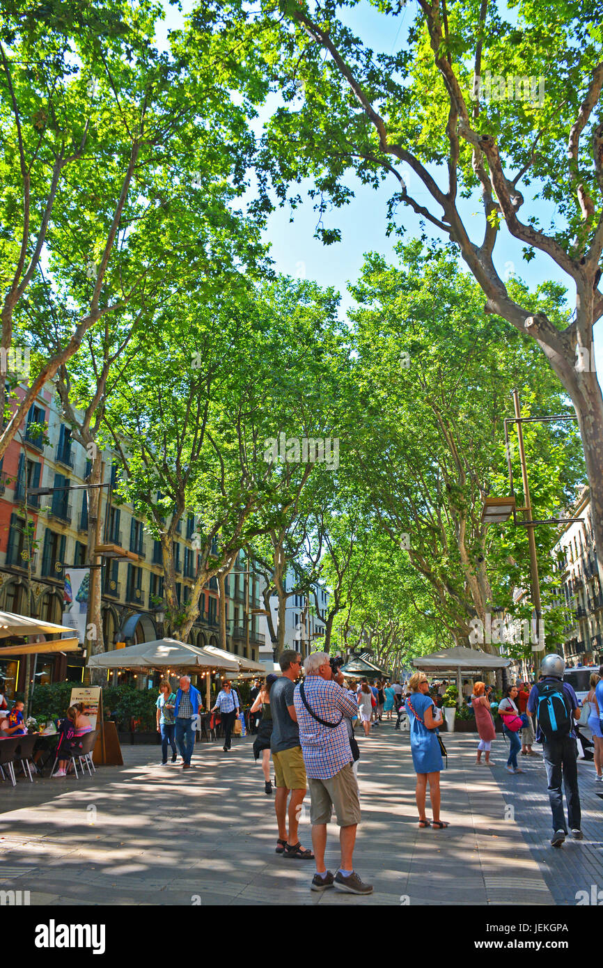 L'avenue des Ramblas, Barcelone, Espagne, Catalona Banque D'Images