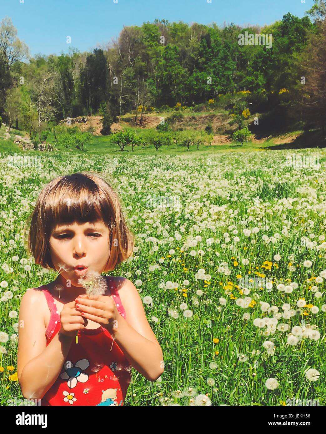 Girl blowing dandelion un réveil Banque D'Images