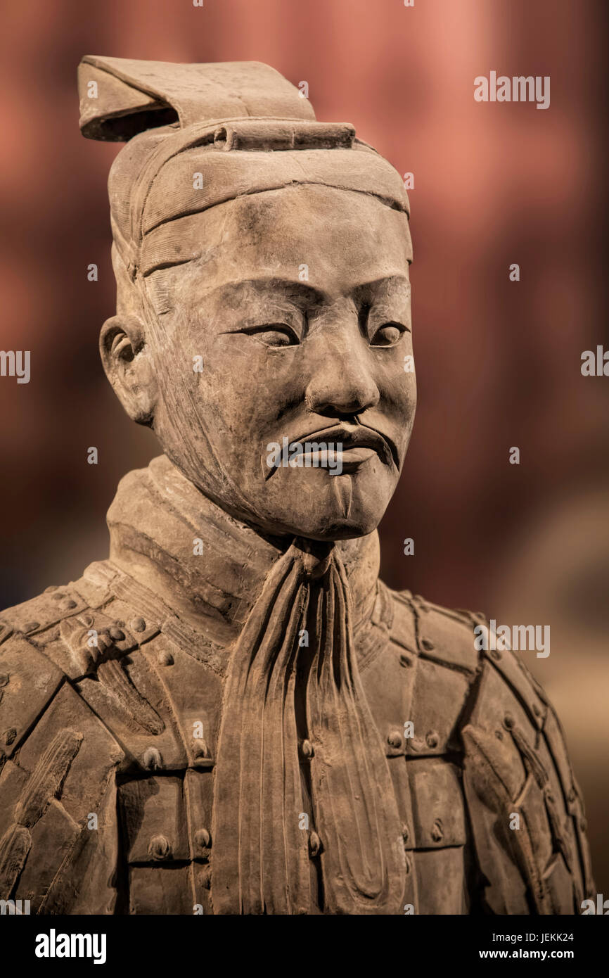 L'Armée de terre cuite pièce exposée au Musée d'histoire de Shaanxi. Xian. Chine Banque D'Images