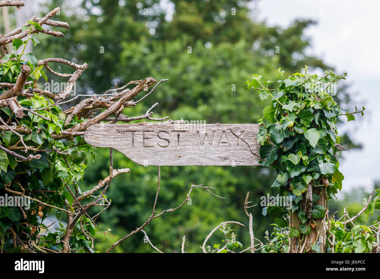 Les activités rurales en plein air : fingerpost sur la façon d'essai par le Test de la rivière près de Ealing, Totton et Redbridge, Southampton, Hampshire, Royaume-Uni Banque D'Images