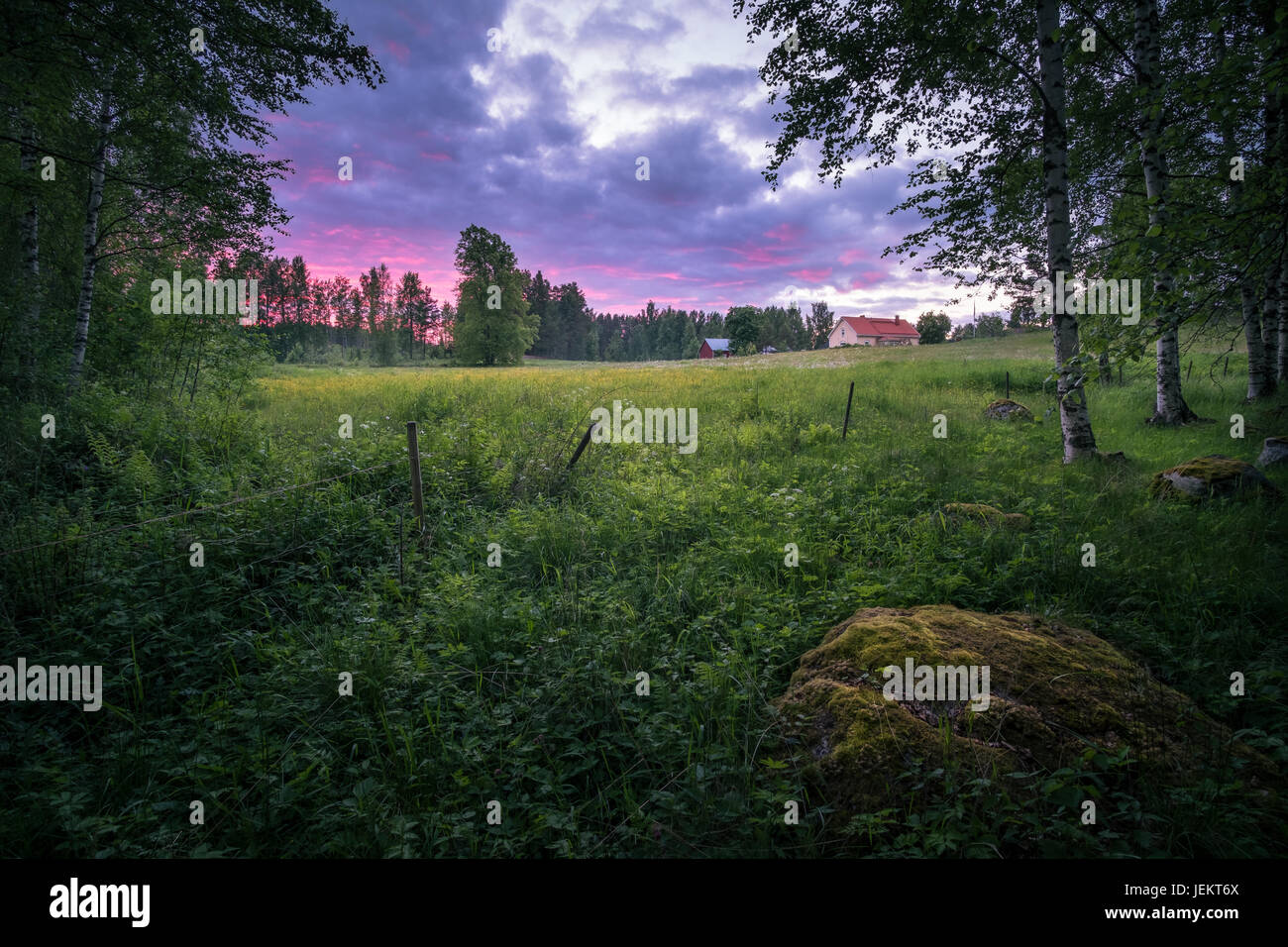 Paysage de campagne à une nuit d'été avec soleil colorés en Finlande Banque D'Images