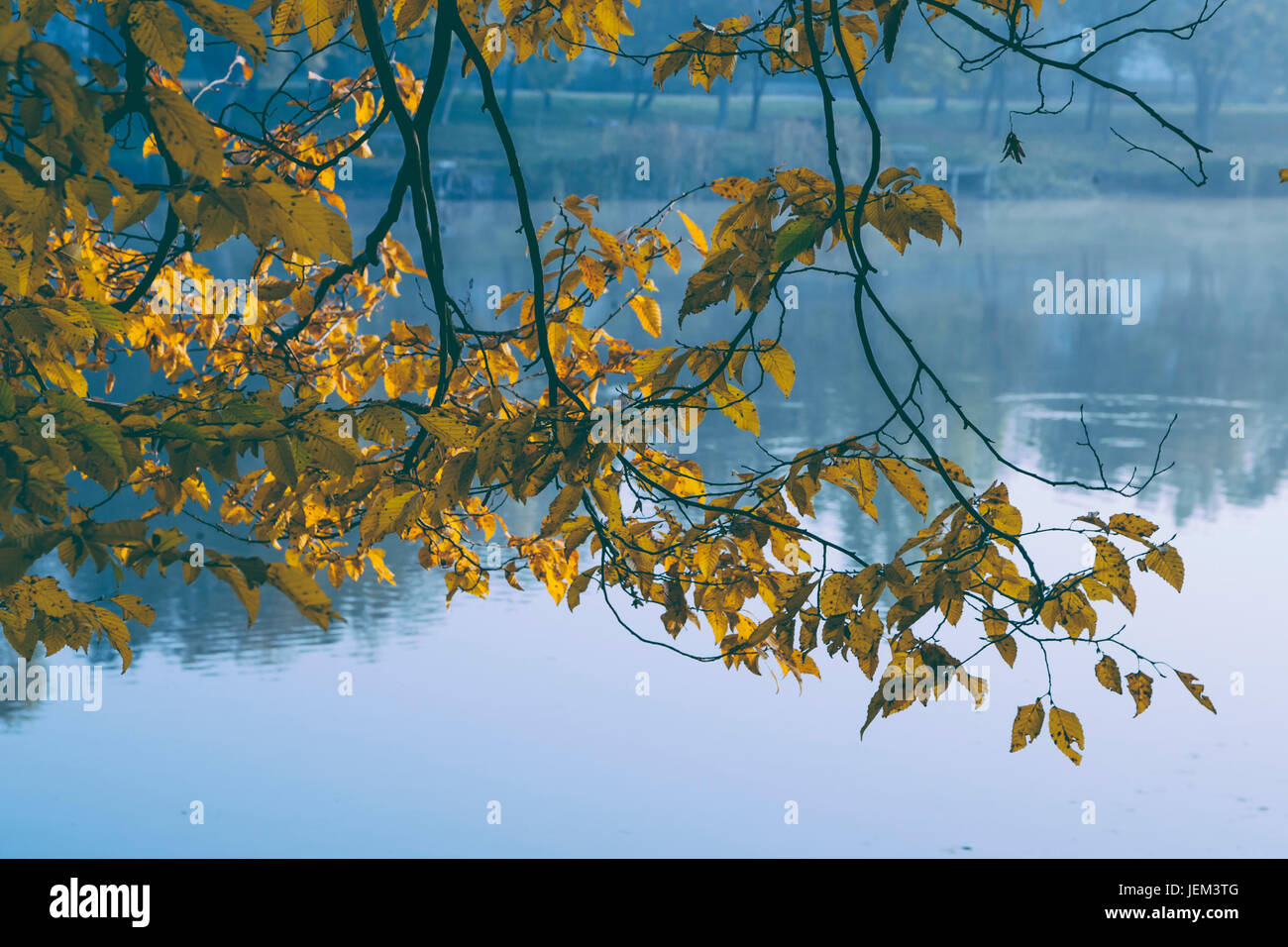 Les feuilles d'automne et de fond du lac Banque D'Images