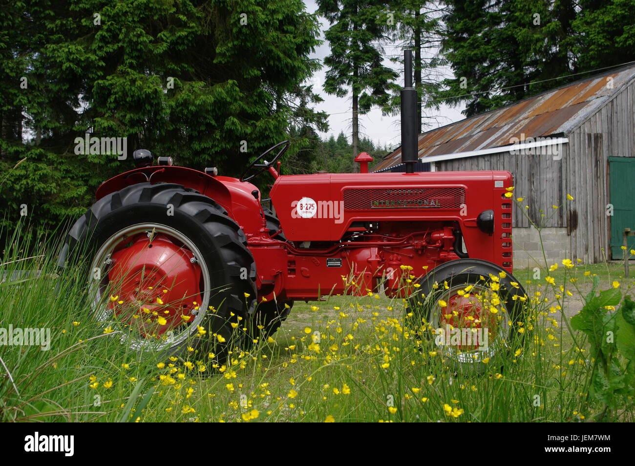 275 tracteur agricole International 1960 Banque D'Images