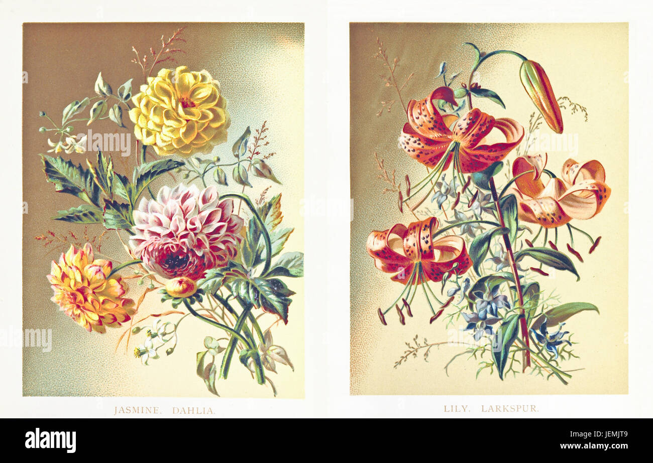 Ancien lit illustration de fleurs. Non Identifiés par auteur, date de publication dans le jardin des poètes, éd. Fisher Unwin, Londres 1886 Banque D'Images