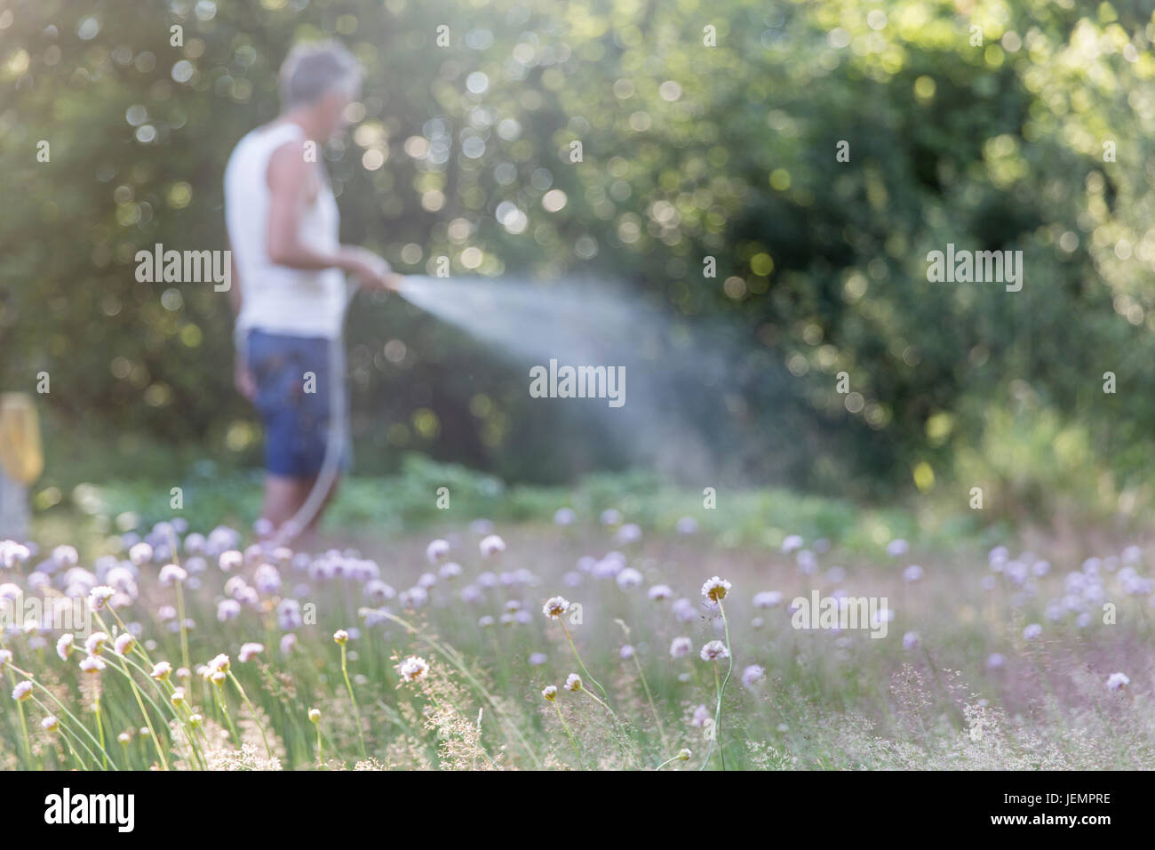 L'herbe, l'homme d'arrosage jardin sur l'arrière-plan Banque D'Images