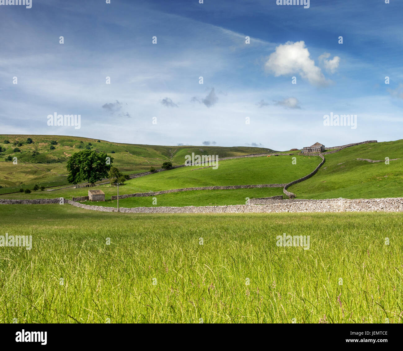 Murs en pierre calcaire et des granges dans le paysage pittoresque de Wharfedale. Verte campagne, ciel bleu, jours d'été. Paysages du Yorkshire, England, UK Banque D'Images