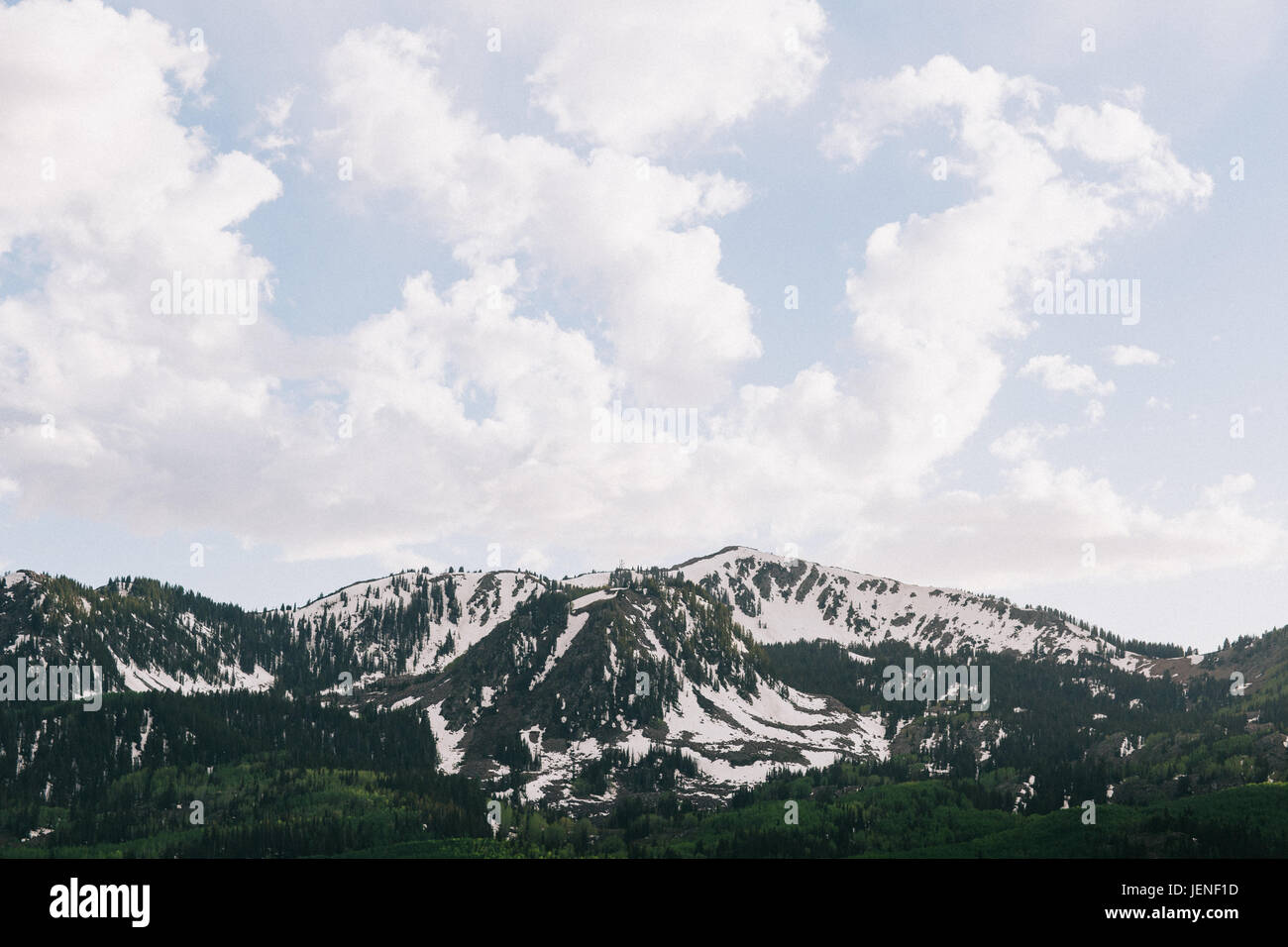 Wasatch Mountains, Utah, États-Unis Banque D'Images