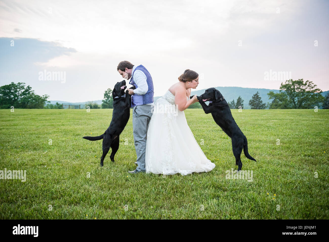 Campagne rustique à la célébration de mariages Wolftrap Farm, Gordonsville, Virginia, USA. Banque D'Images