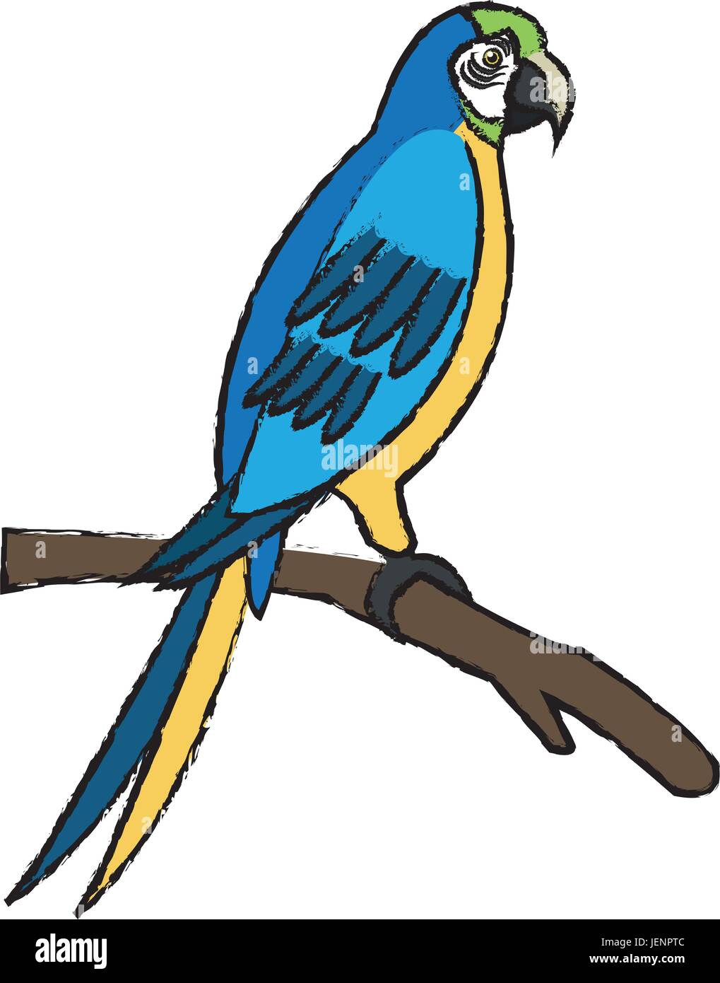 Amazon macaw bird Brésil vie sauvage libre Illustration de Vecteur