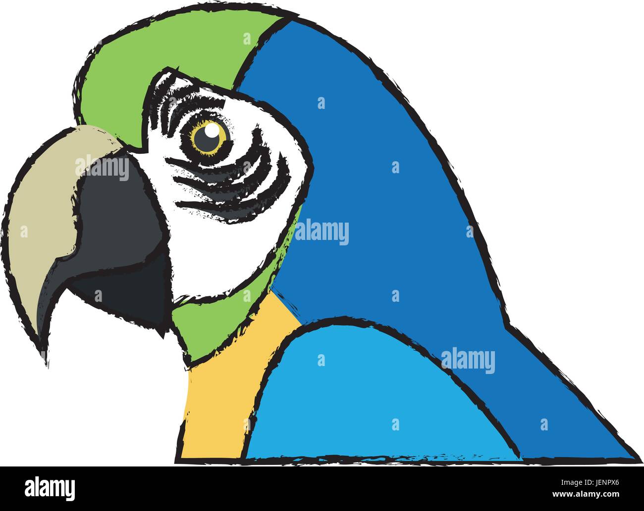 Amazon macaw bird Brésil vie sauvage libre Illustration de Vecteur