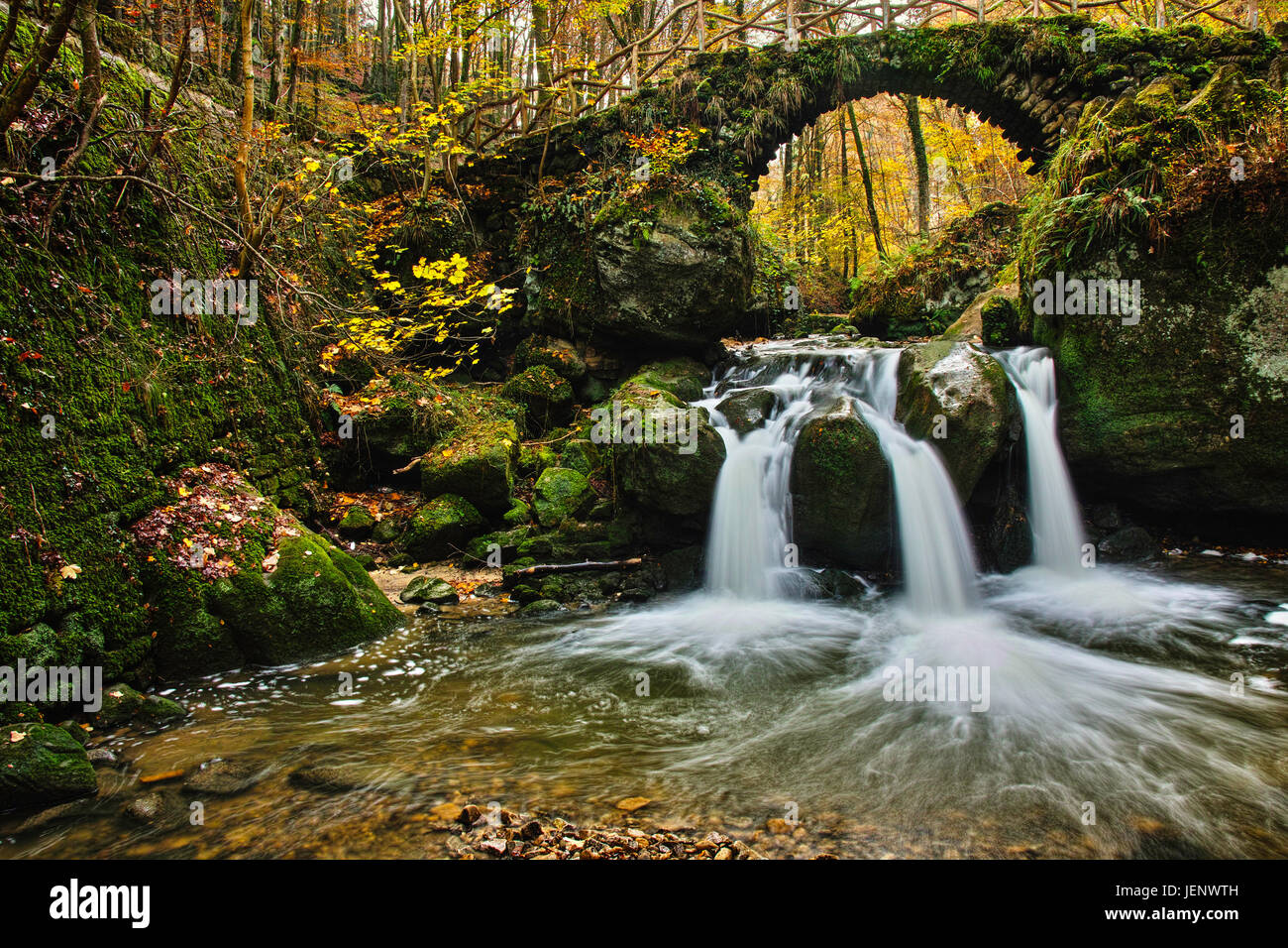 Cascade Schiessentumpel en automne, Mullerthal, Luxembourg Banque D'Images