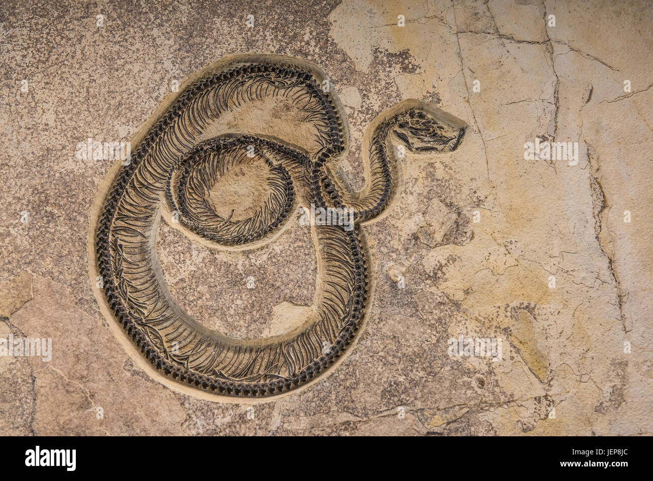 Snake combustibles, par Bruce Montagne Banque D'Images