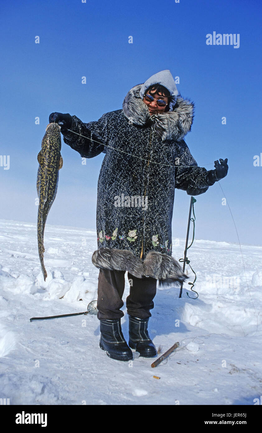 Femme inuit de Nuiqsut, dans l'extrême nord de l'Alaska dans l'océan Arctique est pratique avec pris voyageant char, Alaska, Inuitfrau aus Nuiqsut, Banque D'Images