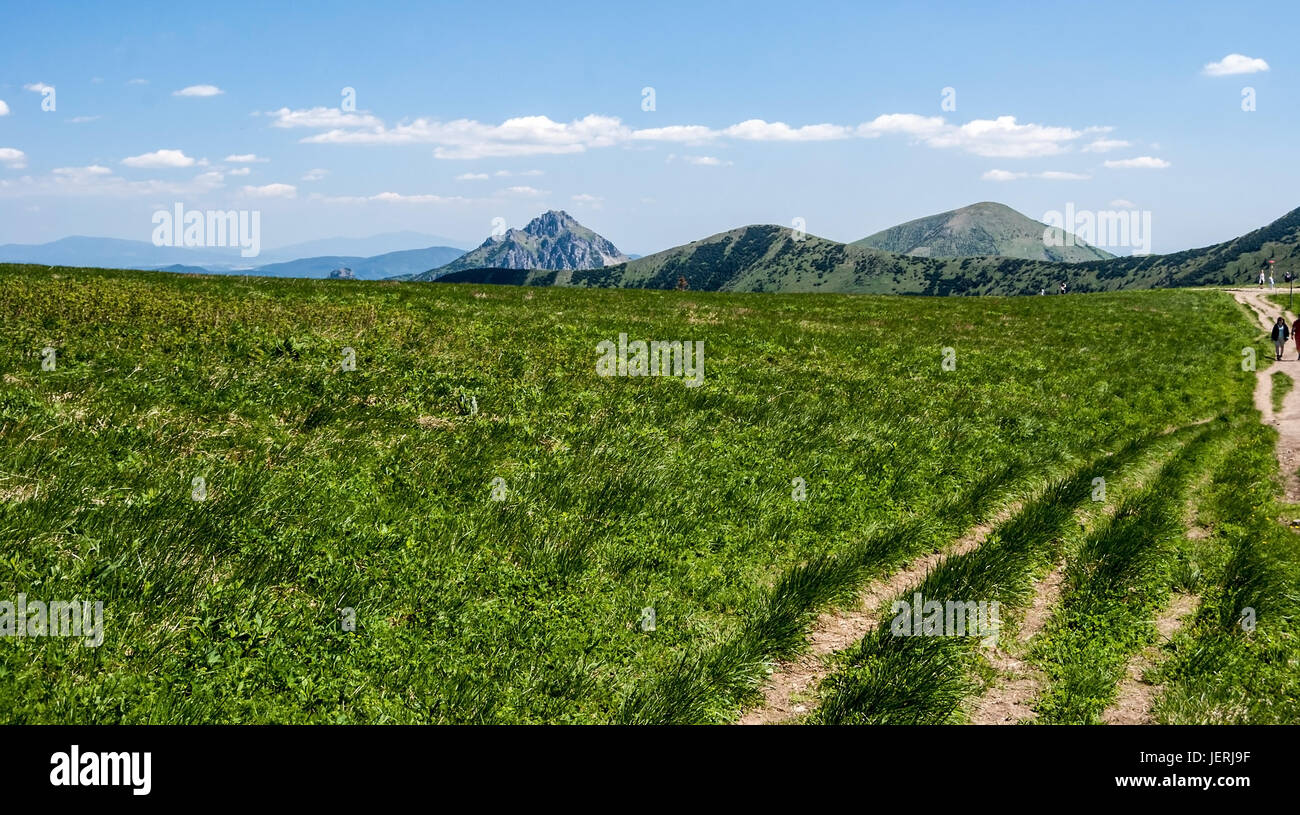 Sur snilovske sedlo passer avec mountain meadow, sentier de randonnée pédestre et les collines de l'arrière-plan dans les montagnes Mala fatra en Slovaquie par beau jour de printemps avec Banque D'Images