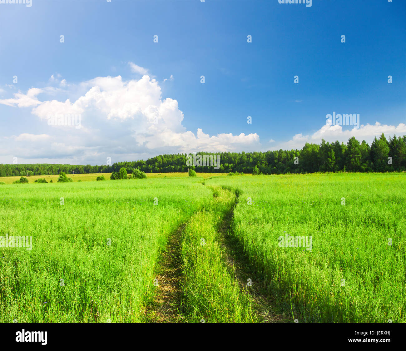 Chemin de terre et beau terrain Banque D'Images