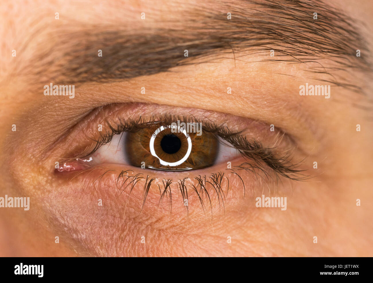 Beau mâle brown eye close-up Banque D'Images