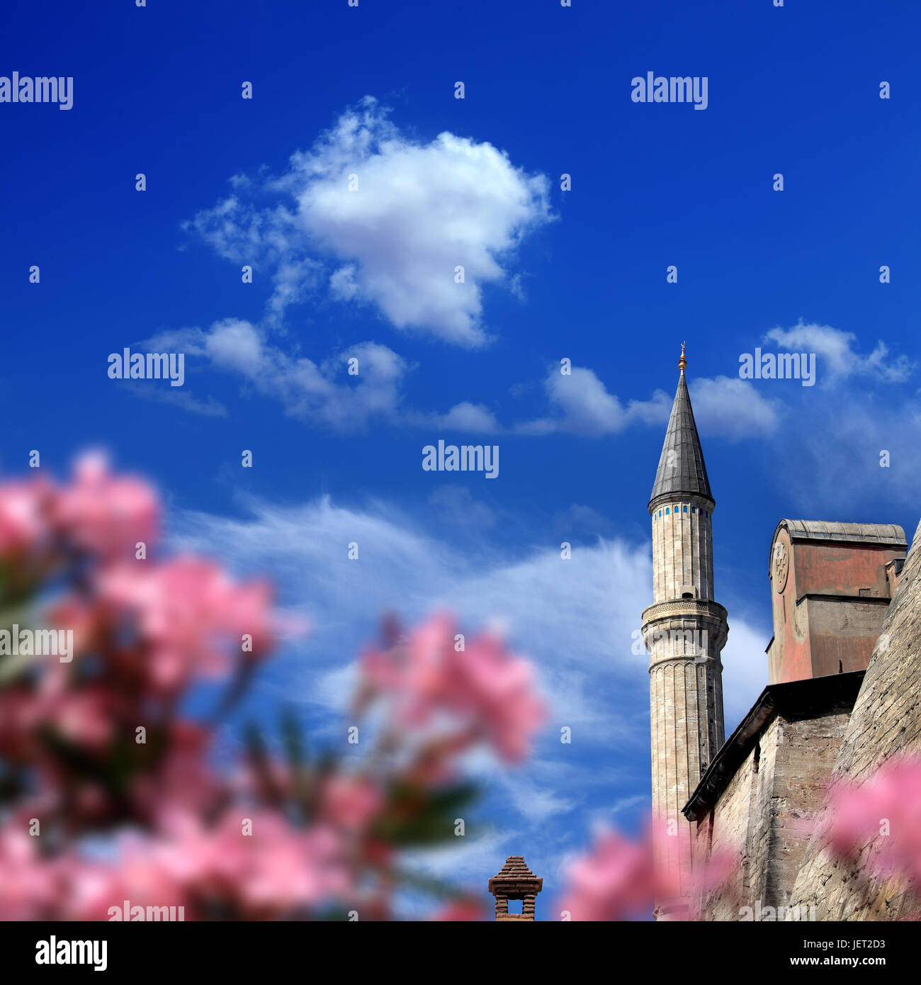 Détail coup de Aya Sofia Mosque in Istanbul, Turquie Banque D'Images