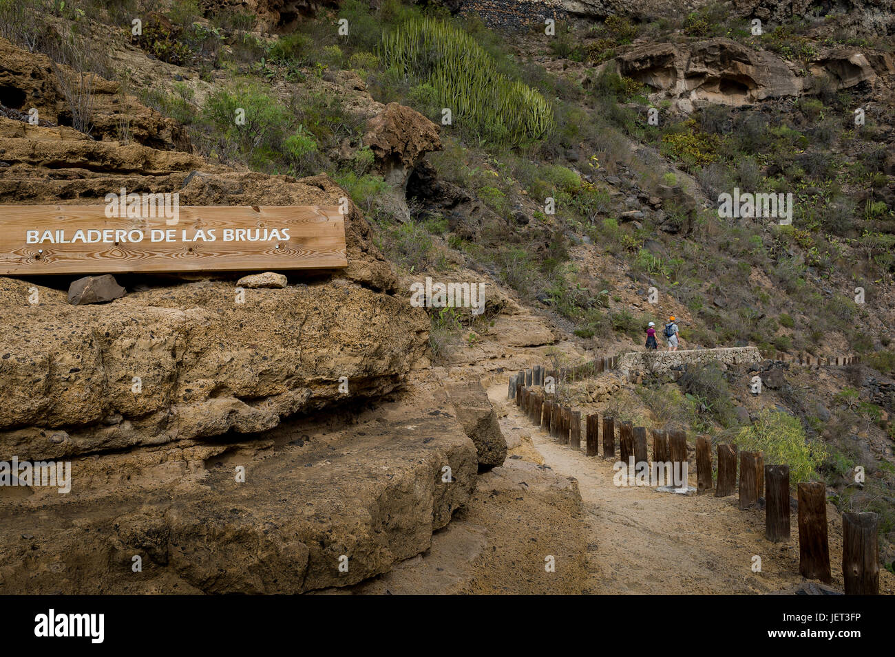 Bailadero de las Brujas trekking, Tenerife island Banque D'Images