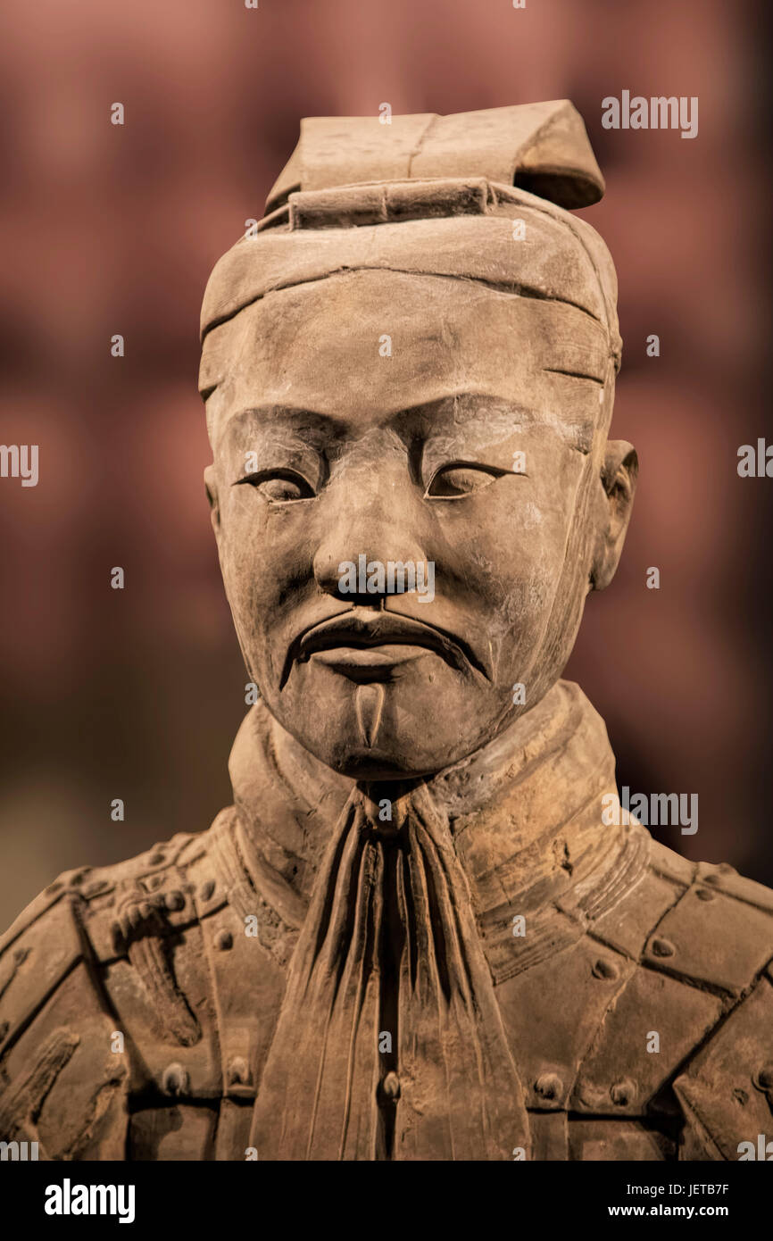 L'Armée de terre cuite pièce exposée au Musée d'histoire de Shaanxi. Xian. Chine Banque D'Images