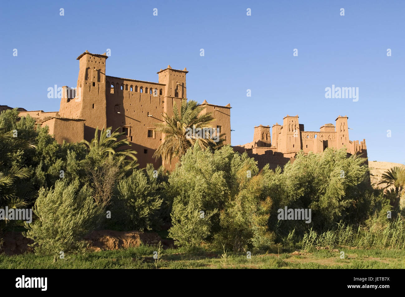 Le Maroc, Aït-Ben-Haddou, vue locale, de palmiers, de l'Afrique, Afrique du Nord, l'endroit, Ksar, maisons, mucky méthode de construction, généralement, typiquement pour des pays, mucky maisons, architecture, architecture, châteaux résidentiels boueux, de la végétation, à l'extérieur, déserte, point d'intérêt, à l'UNESCO patrimoine culturel mondial, la destination, Banque D'Images