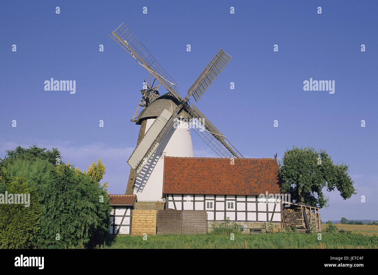 L'Allemagne, en Rhénanie du Nord-Westphalie, Hille, Eickhorster moulin, maison à colombages, l'été, bois Teutoburger, Moyen-Orient, westphalien Eickhorst, moulin, point d'intérêt, structure, historiquement, l'architecture, remblai hollandais, des colombages, Spieker, mémoire, grange, maison, Moulin tour joue, Smock Mill, westphalienne Mühlenstrasse, route de l'usine, du tourisme, de l'extérieur, Banque D'Images