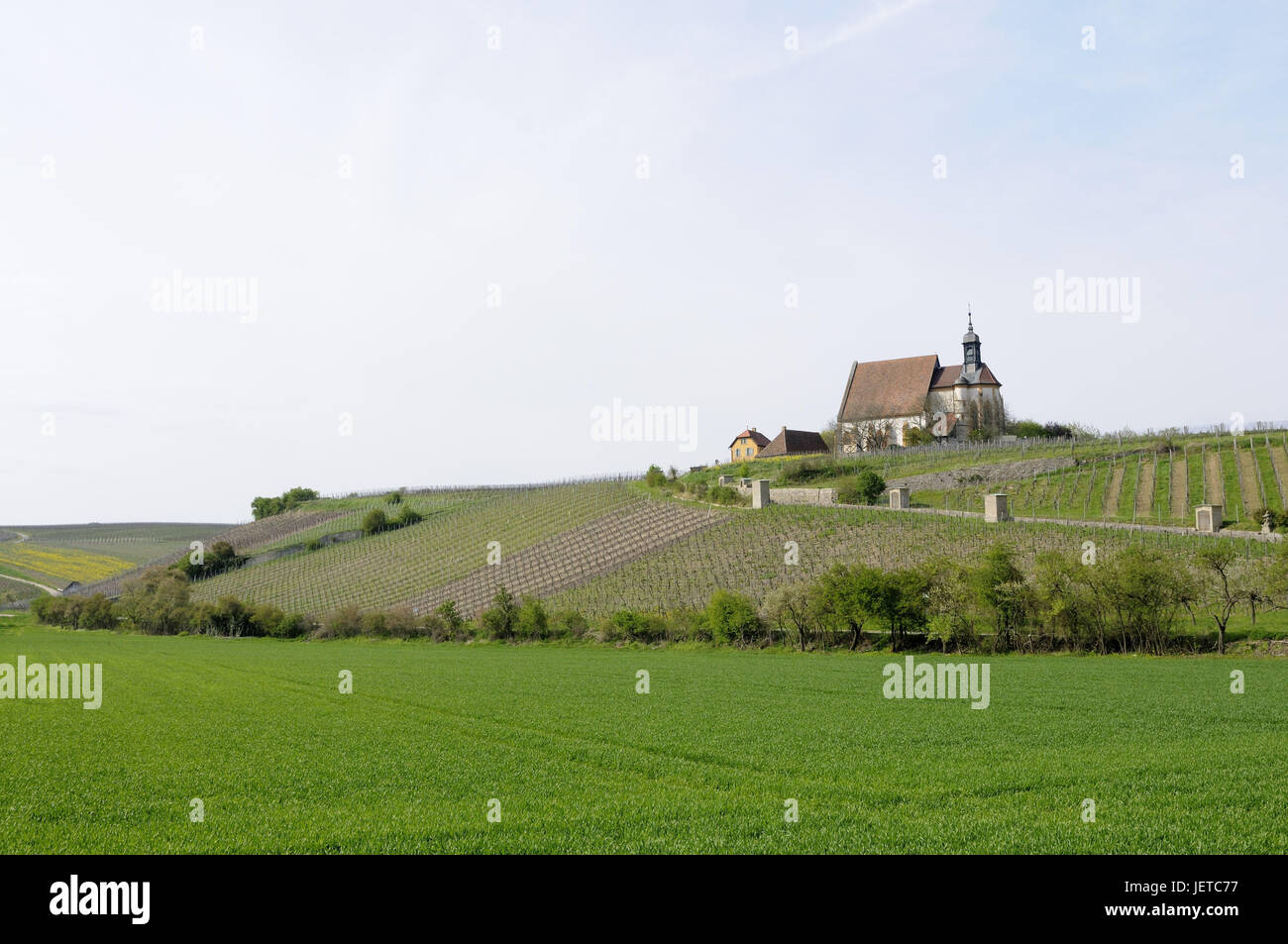 Band'Maria dans la vigne', Volkach, Lower Franconia, Bavaria, Banque D'Images