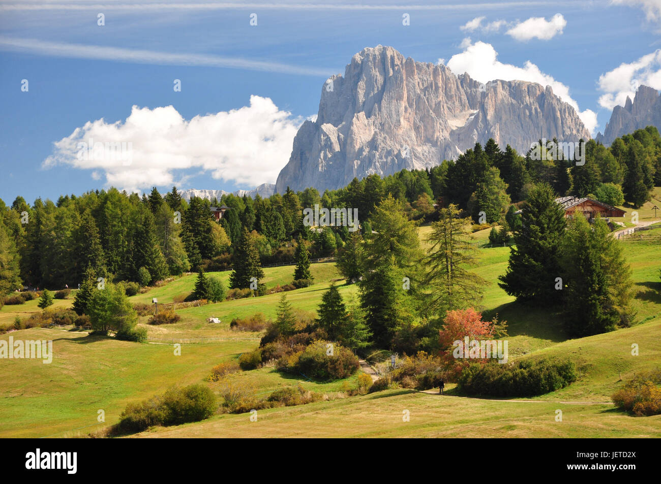 Litalie Tyrol Du Sud Les Dolomites Lalpe Di Siusi Alp