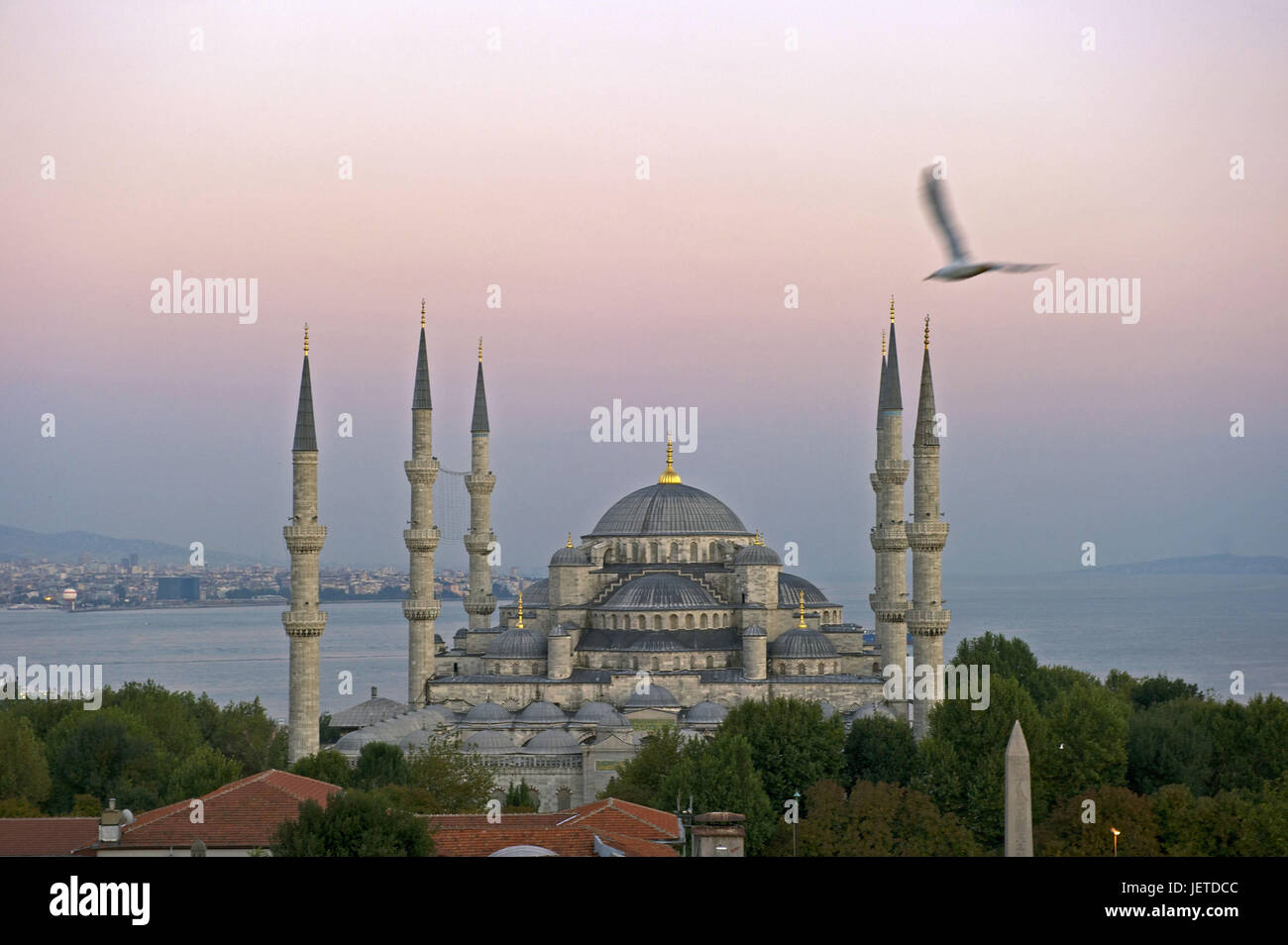 La Turquie, Istanbul, la mosquée du sultan Ahmed, mosquée bleue dans l'aube, Banque D'Images