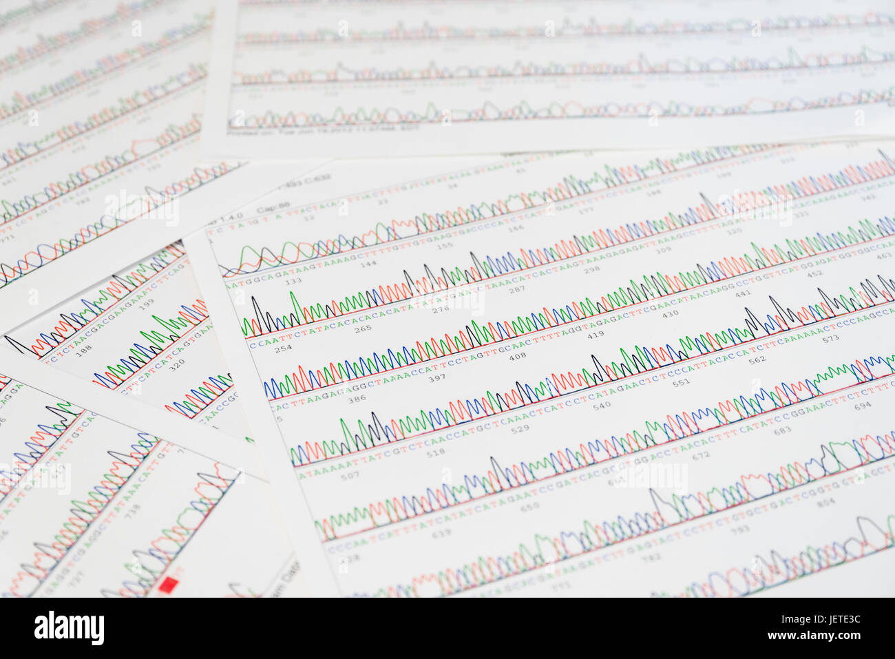 Fiche des résultats de séquençage Sanger Banque D'Images