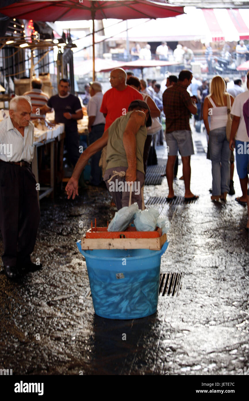 L'Italie, la Sicile, Catane, Vieille Ville, marché aux poissons, de personne, de l'Europe du Sud, Lane, marché, étals de marché, ventes, poisson, poisson, homme, godet, suivre, faites glisser, de l'alimentation, de l'économie, vente au détail, les concessionnaires, les vendeurs, Banque D'Images