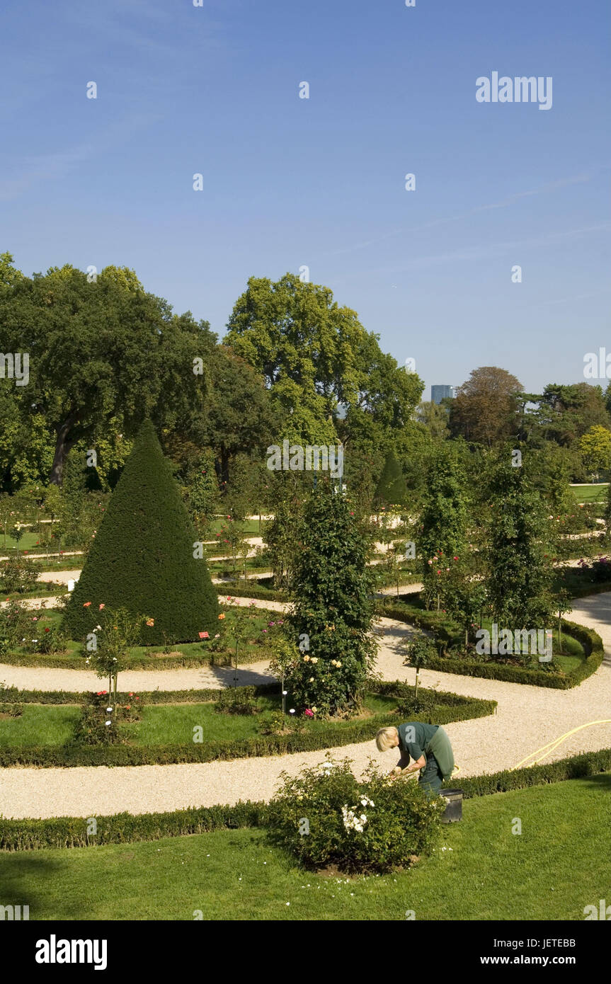 France, Paris, Bois de Boulogne, parc de Bagatelle, Roseraie, jardinier, le modèle ne libération, Banque D'Images