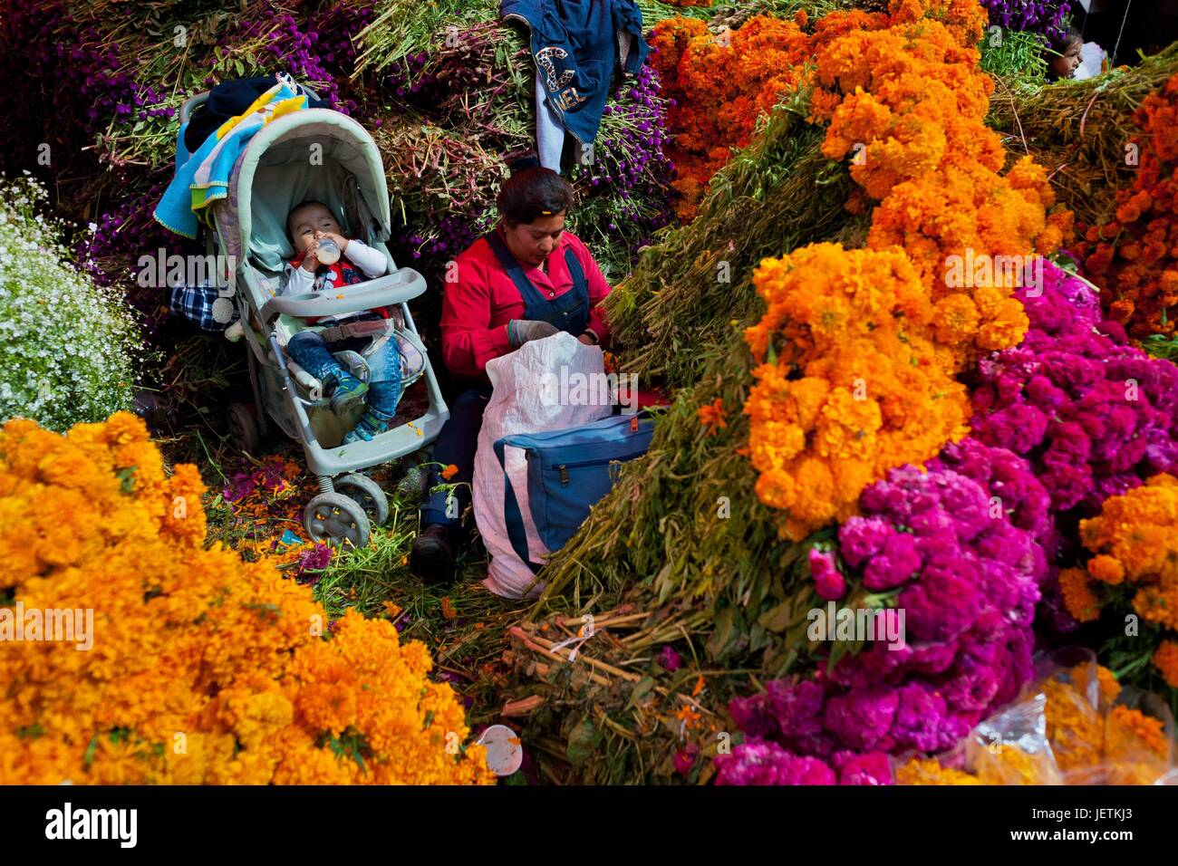 Un marché aux fleurs vendeur prend soin de son bébé tout en vendant des fleurs de souci (Flor de muertos) pour le Jour des Morts Les vacances d'été à Mexico, Mexique, 31 octobre 2016. Fleurs de souci (CempasÃºchil) sont utilisées pour orner les tombes et les autels pendant la Journée mondiale de l'utilisation | Banque D'Images