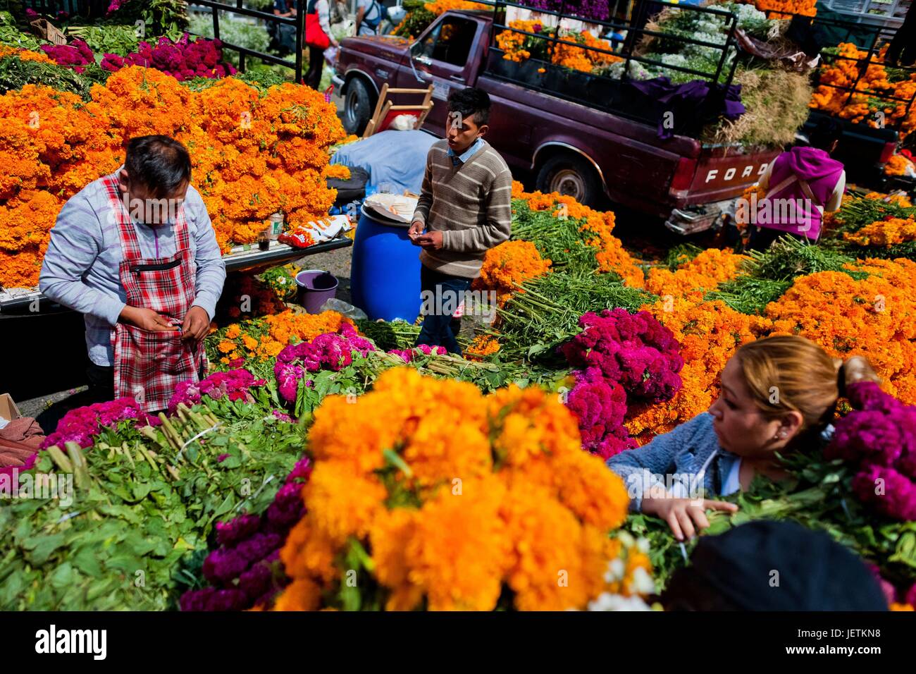 Marché aux fleurs mexicain fournisseurs proposent des tas de fleurs de souci (Flor de muertos) pour le Jour des Morts Les festivités dans la ville de Mexico, Mexique, 31 octobre 2016. Fleurs de souci (CempasÃºchil) sont utilisées pour orner les tombes et les autels pendant le Jour des Morts (Dia de | Le monde d'utilisation Banque D'Images