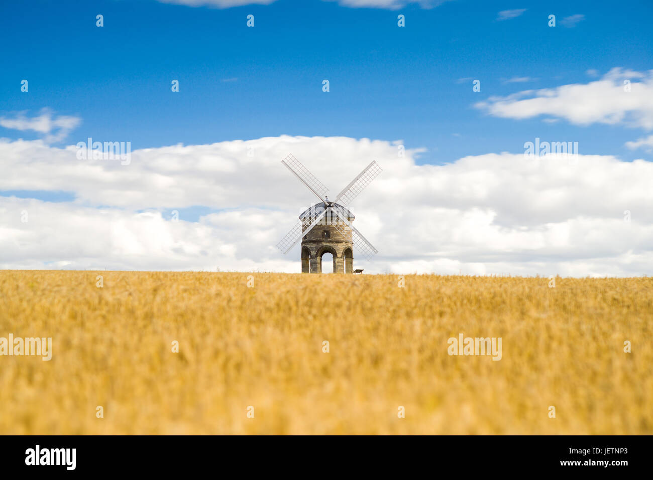 Moulin à Vent de Chesterton Champ de blé en été, dans le Warwickshire, Royaume-Uni Banque D'Images