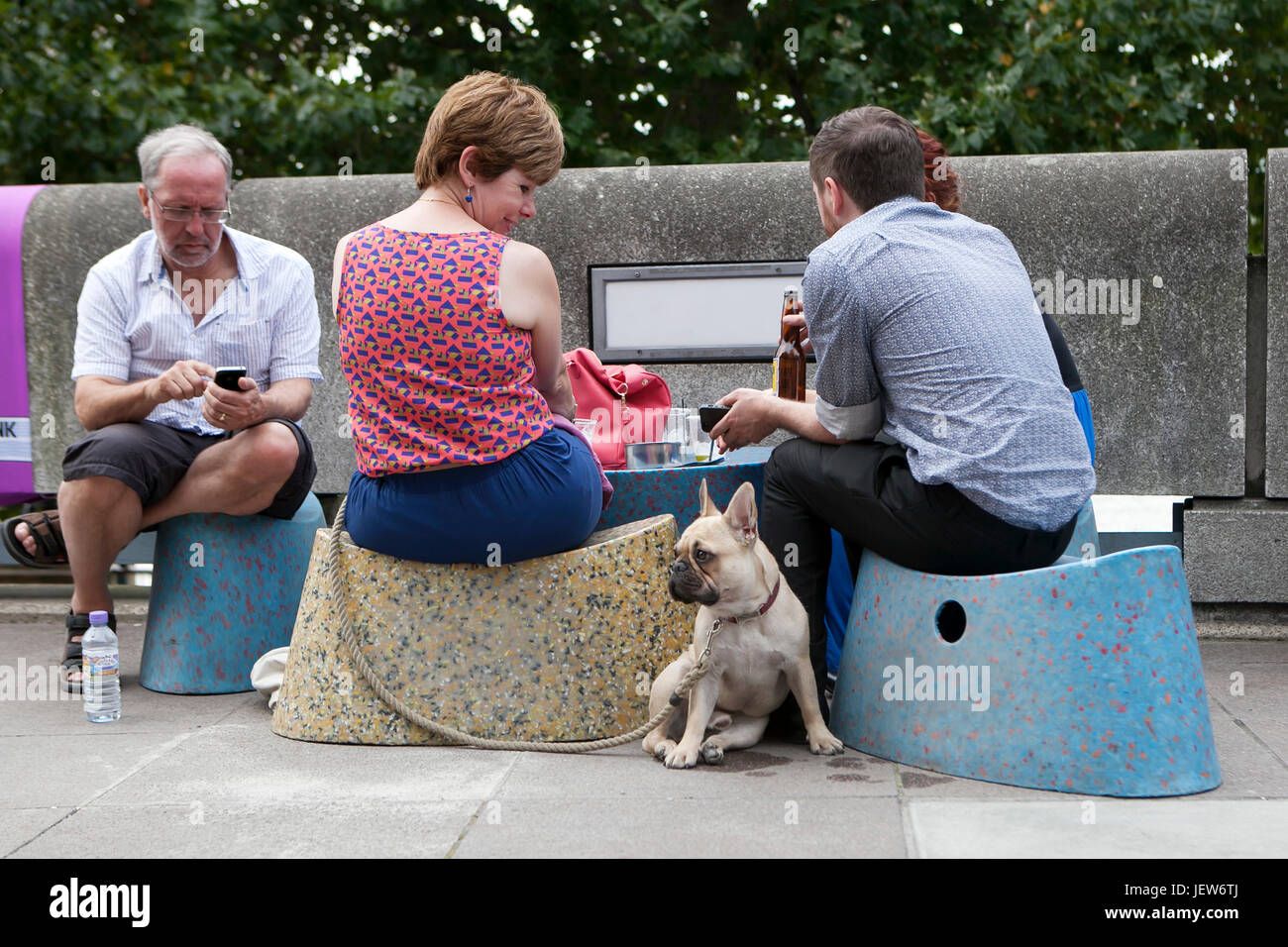 Londres, ANGLETERRE - 12 juillet 2017 chien heureux avec un bouledogue assis dans un café de la rue, boire de la bière Banque D'Images