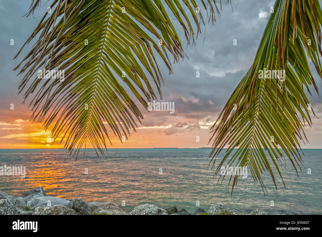Coucher du soleil sous les palmiers à Fort Zachary Taylor Historic State Park en Floride Banque D'Images