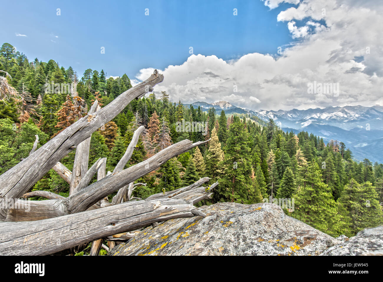 Vue panoramique de la Moro Rock Sequoia National Park Banque D'Images
