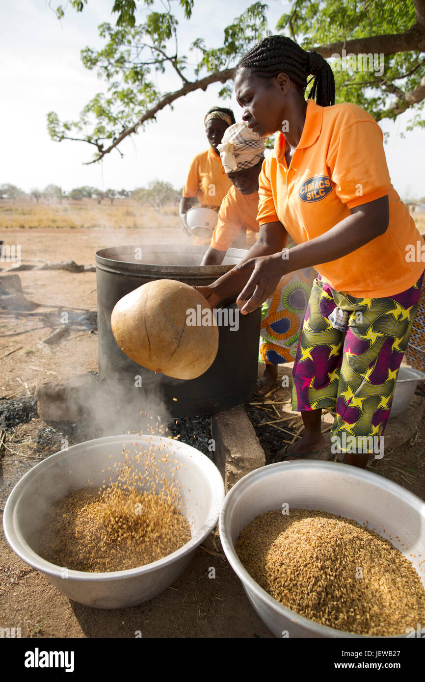 Une coopérative de femmes et les processus d parboils le riz comme une activité génératrice de revenus dans la région de l'Upper-East, au Ghana. Banque D'Images