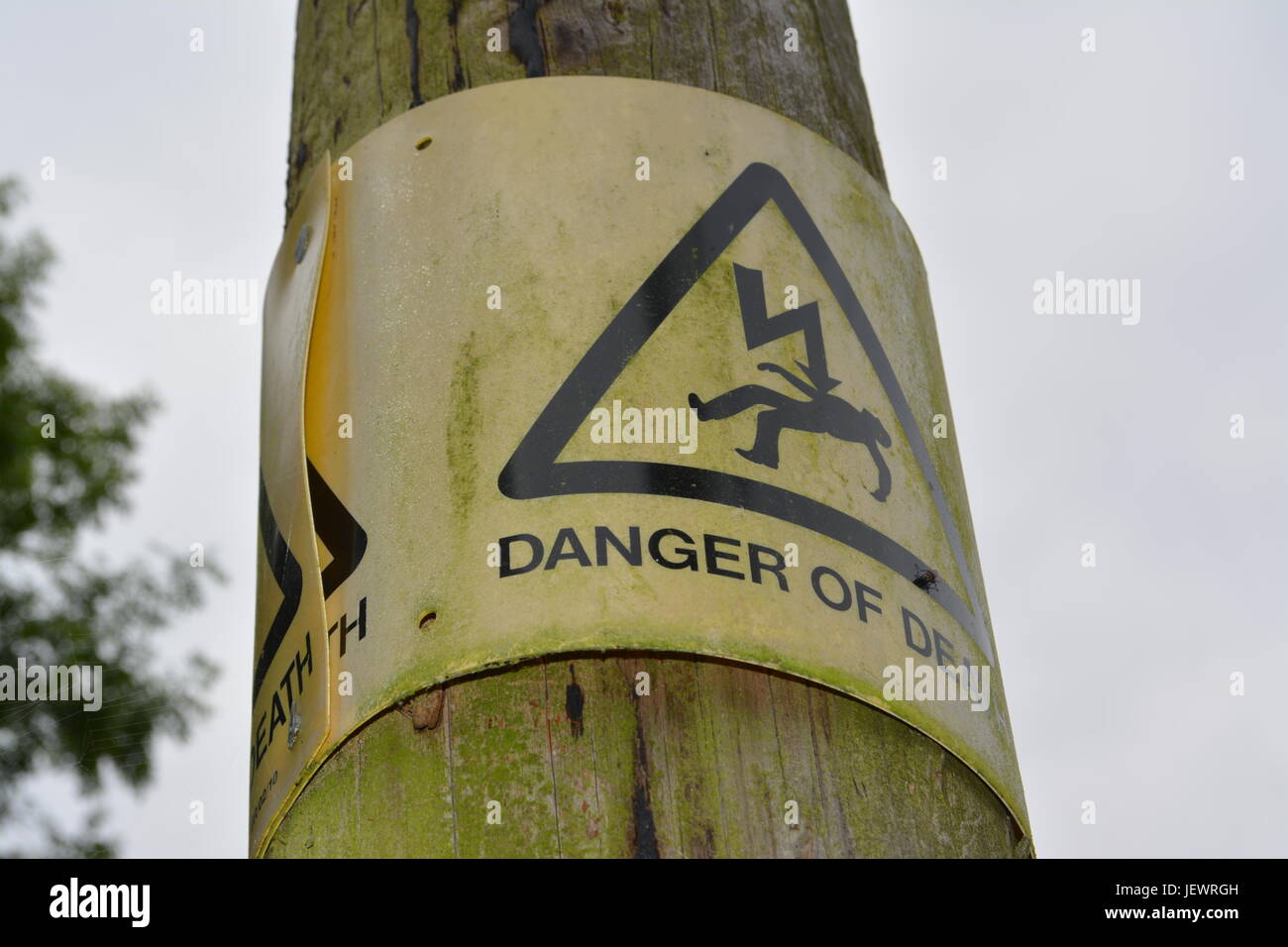 En plastique noir et jaune patiné danger de mort signe cloué cloué sur bois bois pôle électricité pylône England UK Banque D'Images