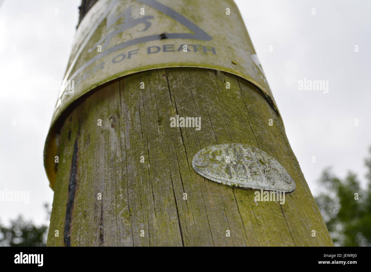 En plastique noir et jaune patiné danger de mort signe cloué cloué sur bois bois pôle électricité pylône England UK Banque D'Images