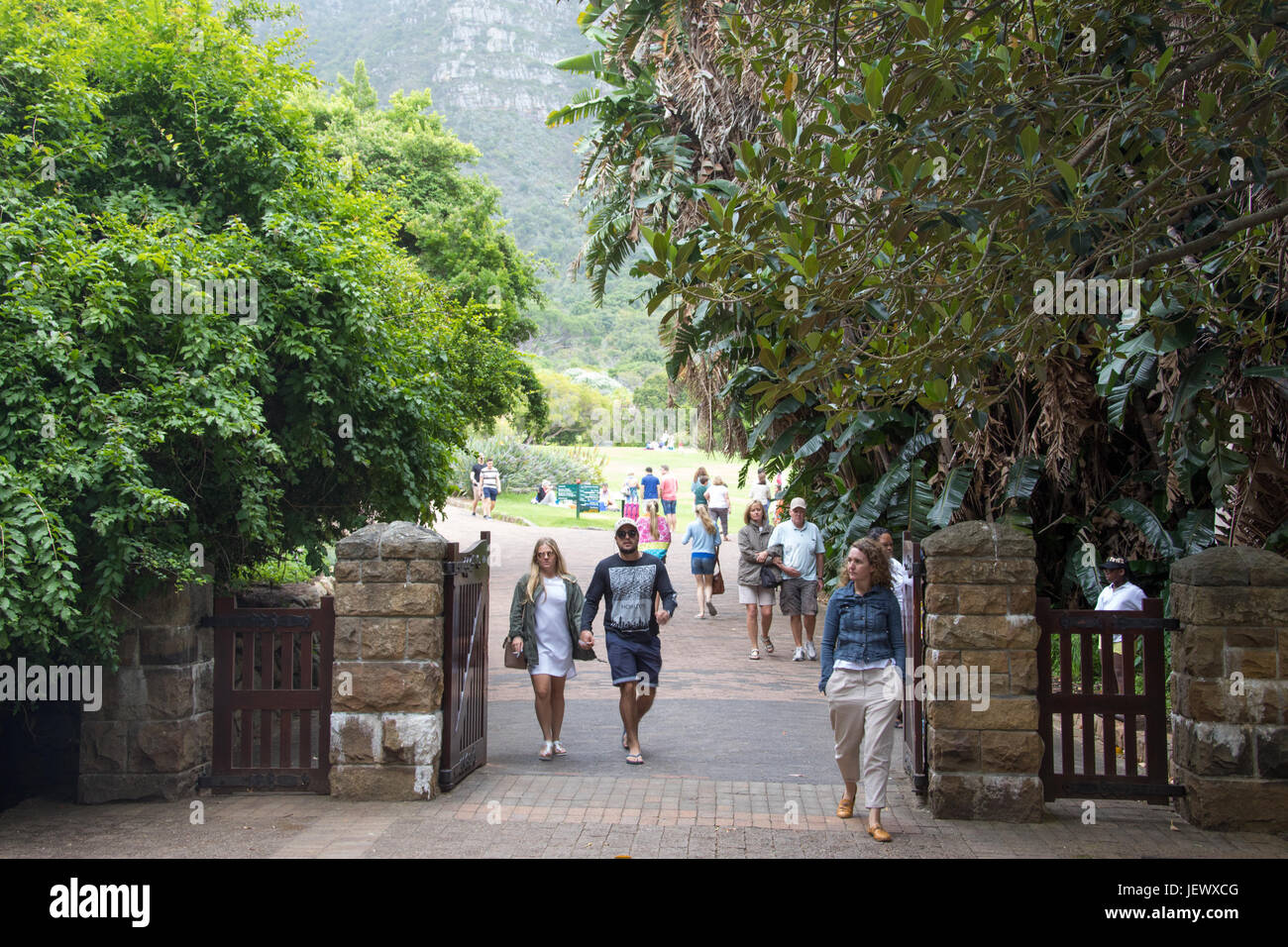 Jardins botaniques de Kirstenbosch, Cape Town, Afrique du Sud Banque D'Images